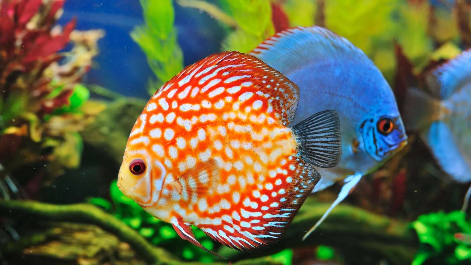 Discover the Fascinating Marine Sea Life on Display